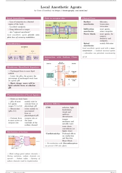 LaTeX (Compiled PDF)