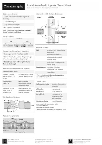 PDF (Black & white) — Style 2