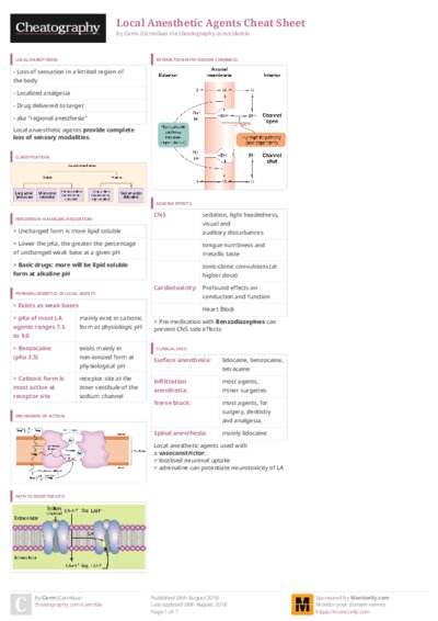 PDF (Colour) — Style 3