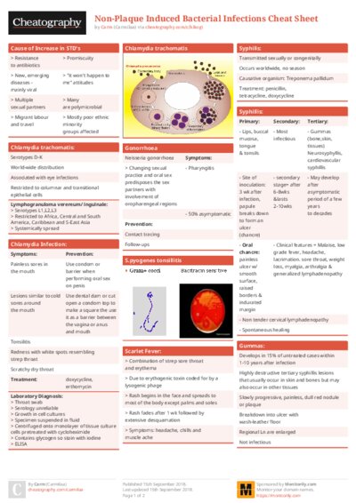 PDF (Colour) — Style 1