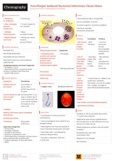 PDF (Colour) — Style 3