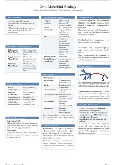 LaTeX (Compiled PDF)