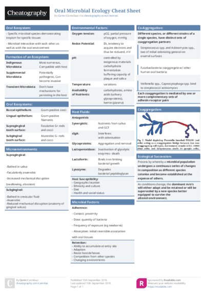 PDF (Colour) — Style 1