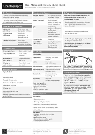 PDF (Black & white) — Style 1