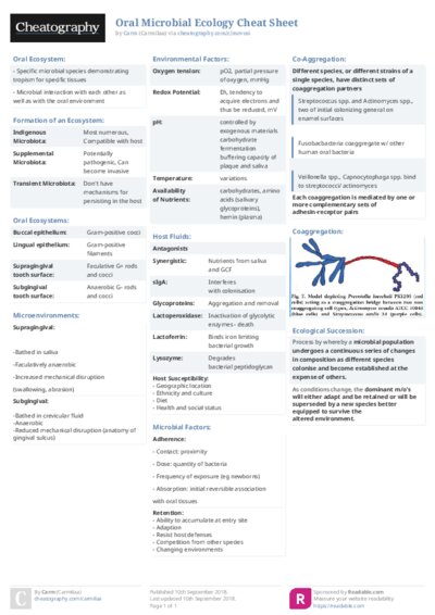PDF (Colour) — Style 2