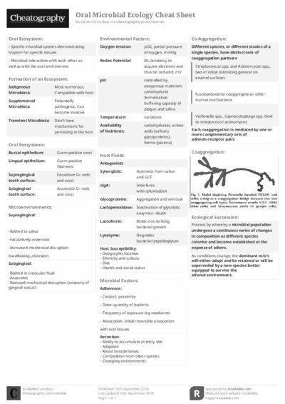 PDF (Black & white) — Style 2