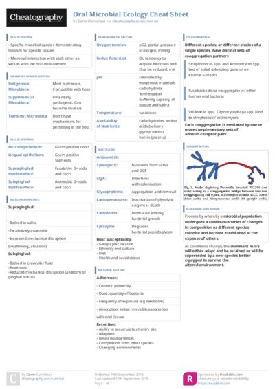 PDF (Colour) — Style 3