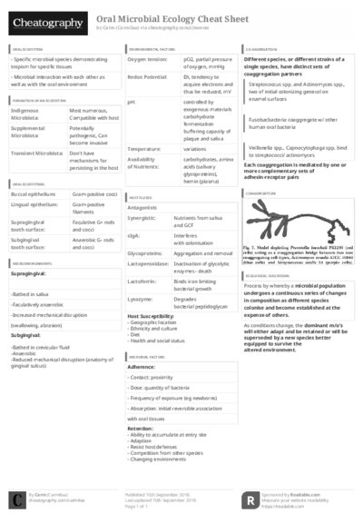 PDF (Black & white) — Style 3
