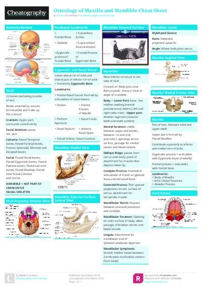 Osteology of Maxilla and Mandible Cheat Sheet