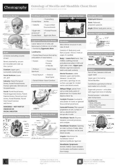 PDF (Black & white) — Style 1