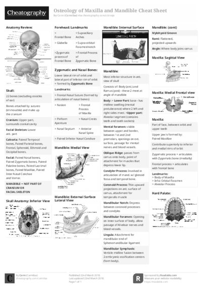 PDF (Black & white) — Style 2