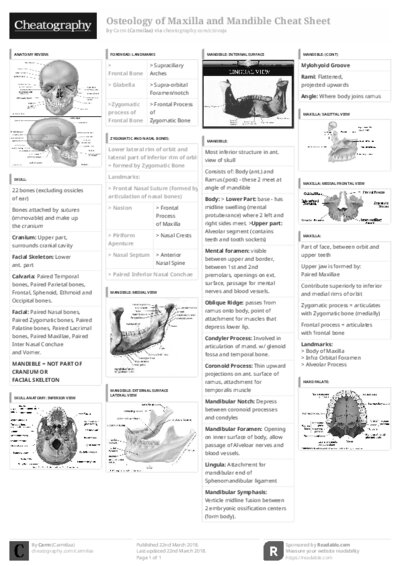 PDF (Black & white) — Style 3