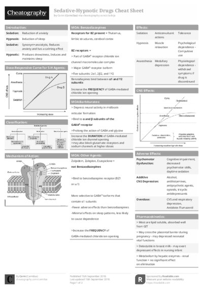 PDF (Black & white) — Style 1