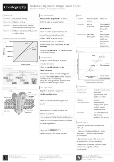 PDF (Black & white) — Style 3