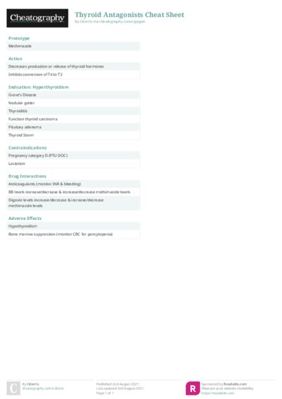 PDF (Colour) — Style 2