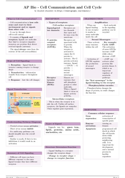LaTeX (Compiled PDF)