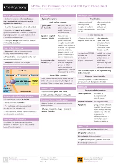 PDF (Colour) — Style 1