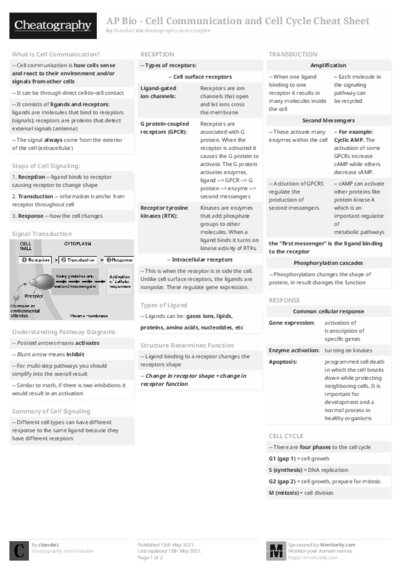 PDF (Black & white) — Style 2