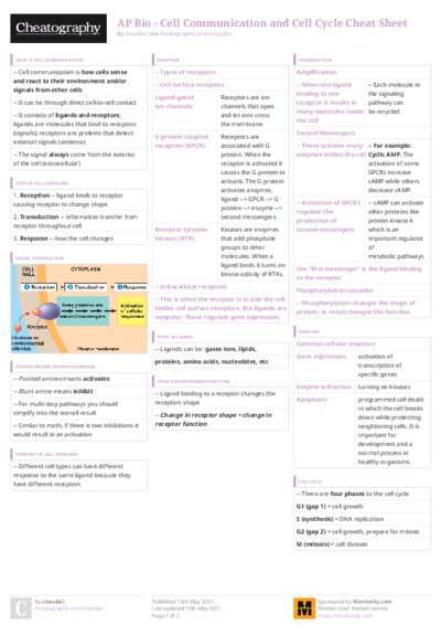 PDF (Colour) — Style 3