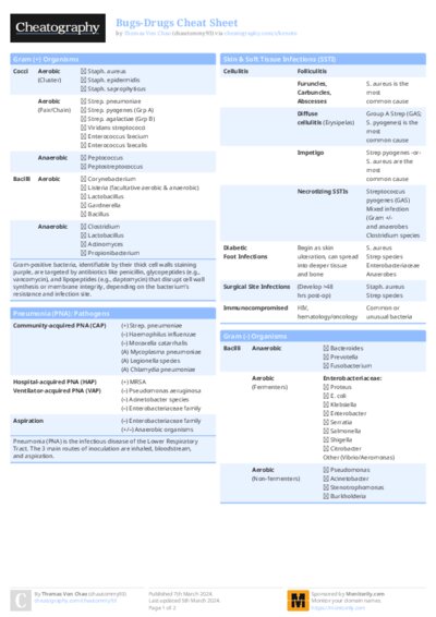 PDF (Colour) — Style 1