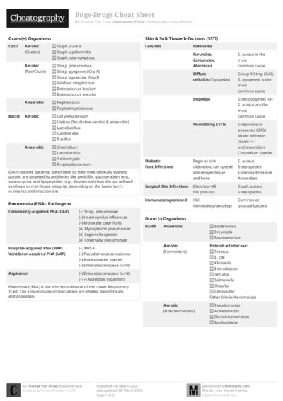 PDF (Black & white) — Style 2