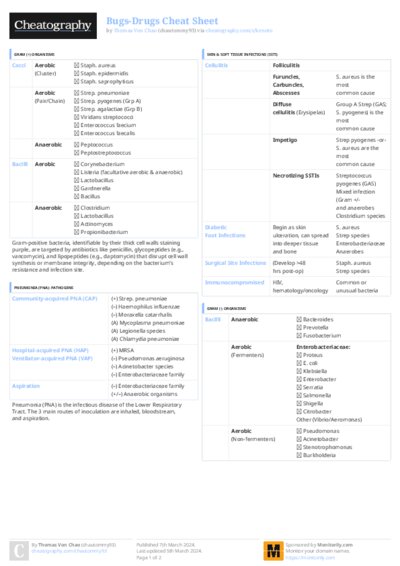 PDF (Colour) — Style 3