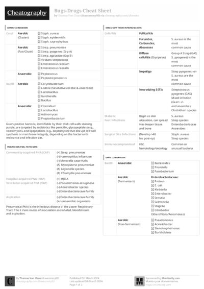 PDF (Black & white) — Style 3
