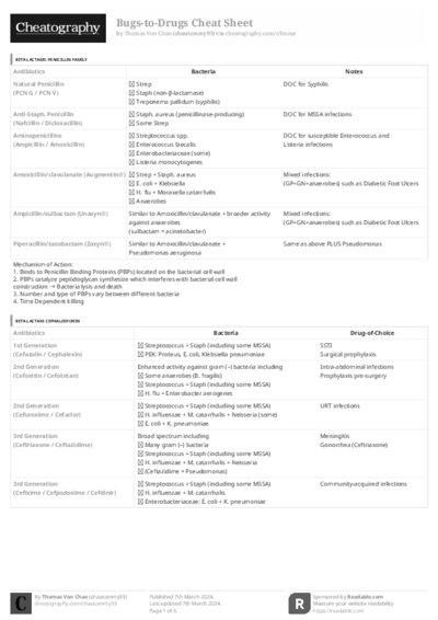 PDF (Black & white) — Style 3