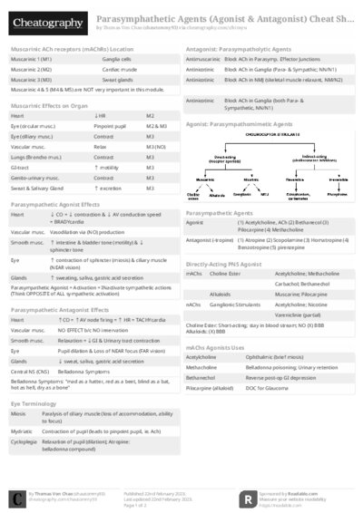 PDF (Black & white) — Style 2