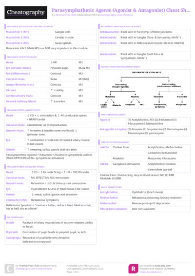 PDF (Colour) — Style 3