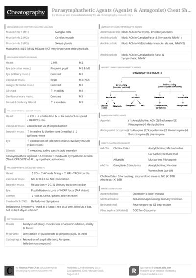 PDF (Black & white) — Style 3