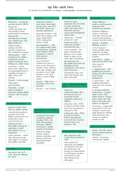 LaTeX (Compiled PDF)