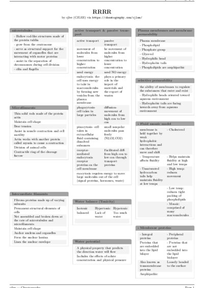 LaTeX (Compiled PDF)