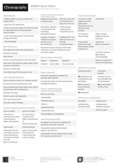 PDF (Black & white) — Style 2