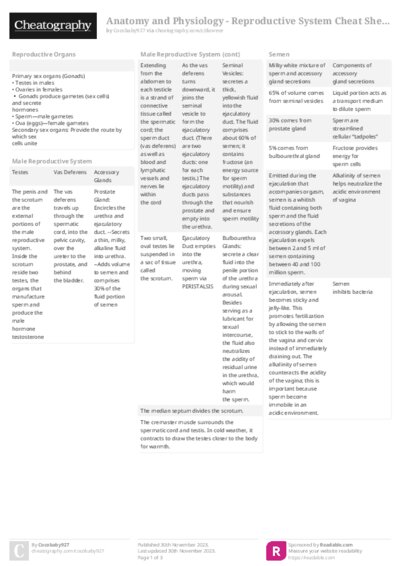 PDF (Colour) — Style 2