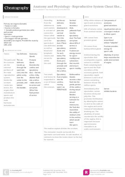 PDF (Colour) — Style 3