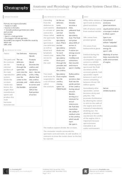 PDF (Black & white) — Style 3