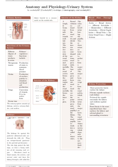 LaTeX (Compiled PDF)