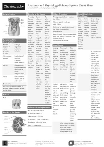 PDF (Black & white) — Style 1