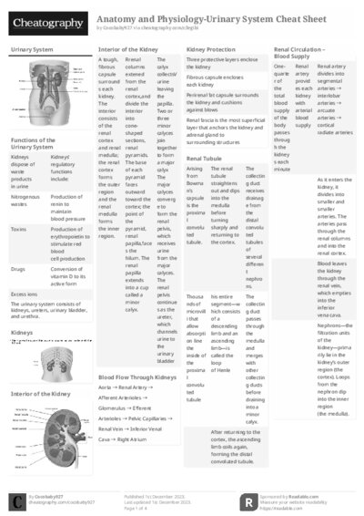 PDF (Black & white) — Style 2