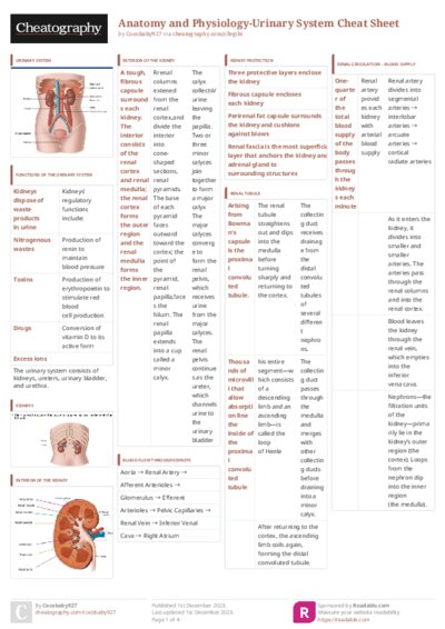 PDF (Colour) — Style 3