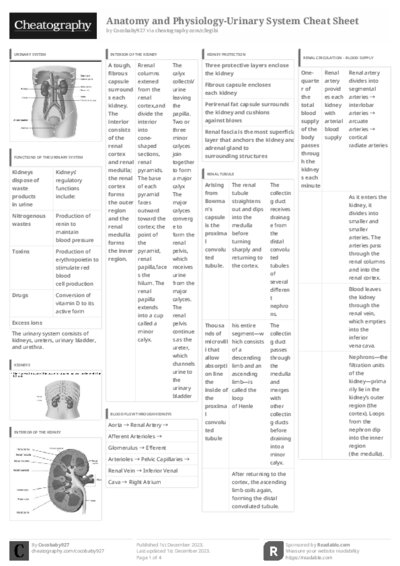 PDF (Black & white) — Style 3