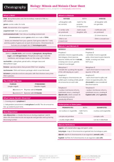 Biology: Mitosis and Meiosis Cheat Sheet