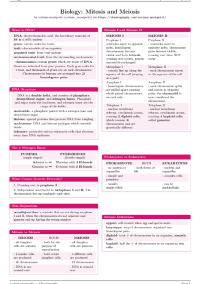 LaTeX (Compiled PDF)