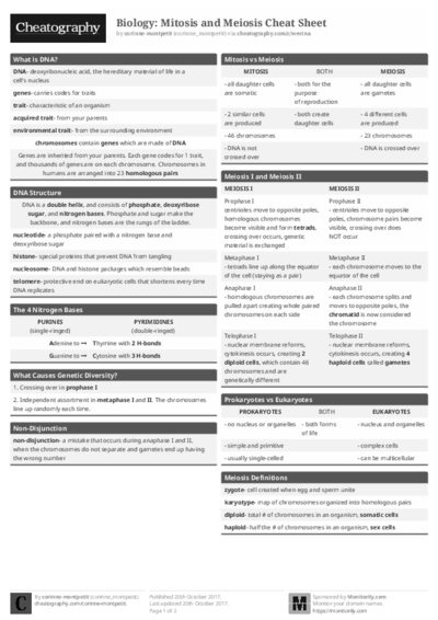PDF (Black & white) — Style 1