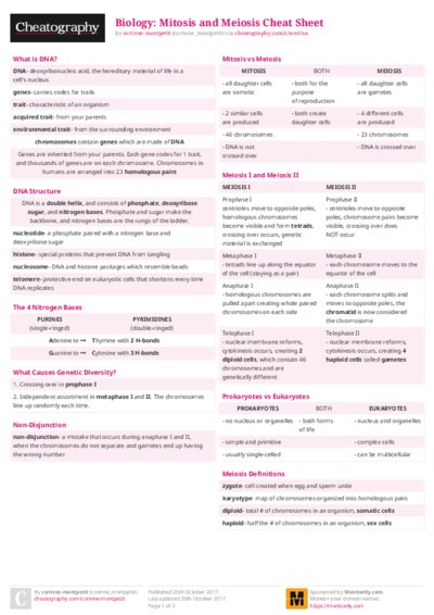 PDF (Colour) — Style 2