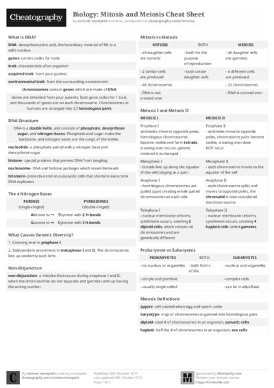 PDF (Black & white) — Style 2