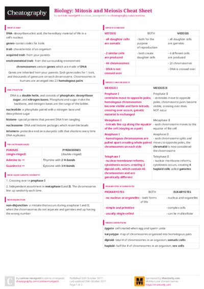 PDF (Colour) — Style 3