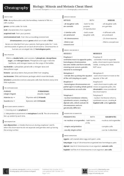 PDF (Black & white) — Style 3