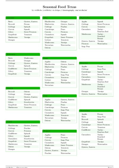 LaTeX (Compiled PDF)